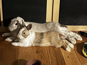 Chambre Chez L'habitant Châtillon 661489-9