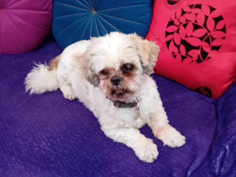 Gastfamilie Mondeville 626653-5