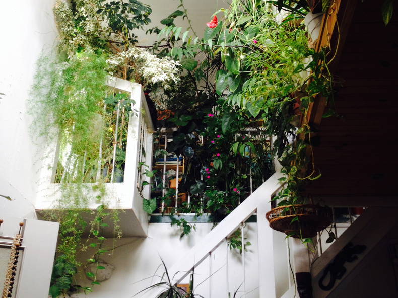 Gastfamilie Paris 653412-1