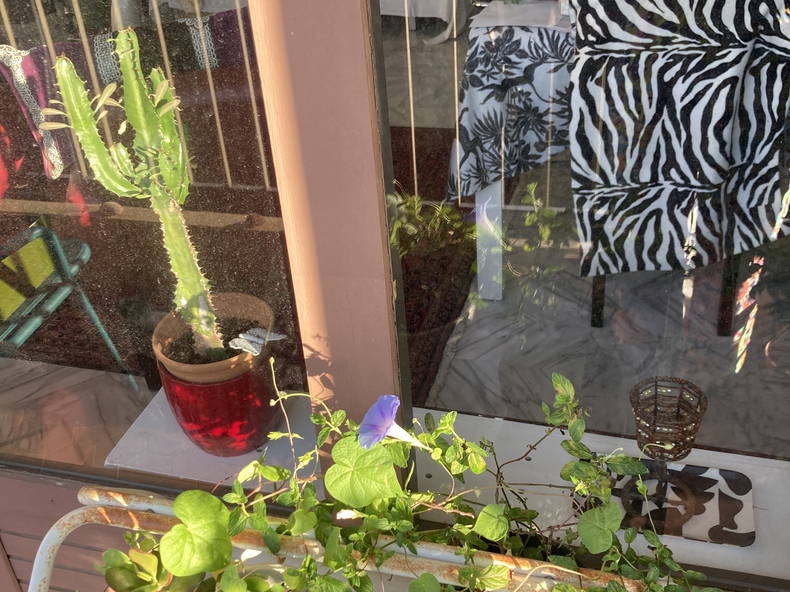 Zakwaterowanie U Rodziny Nîmes 263962-4