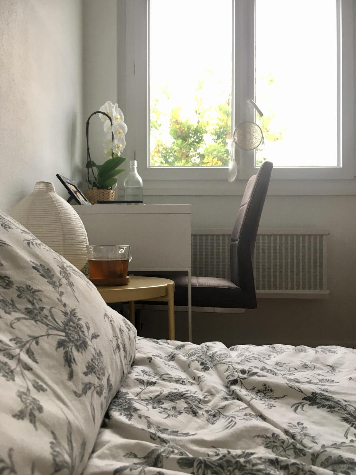 Chambre Chez L'habitant Ferney-Voltaire 332145