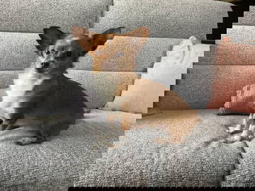 Homestay Treycovagnes 660503-4