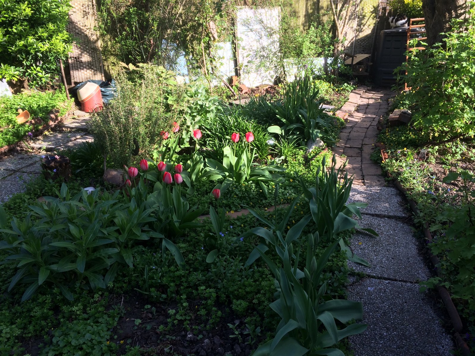 Gastgezin Villeneuve-d'Ascq 242688