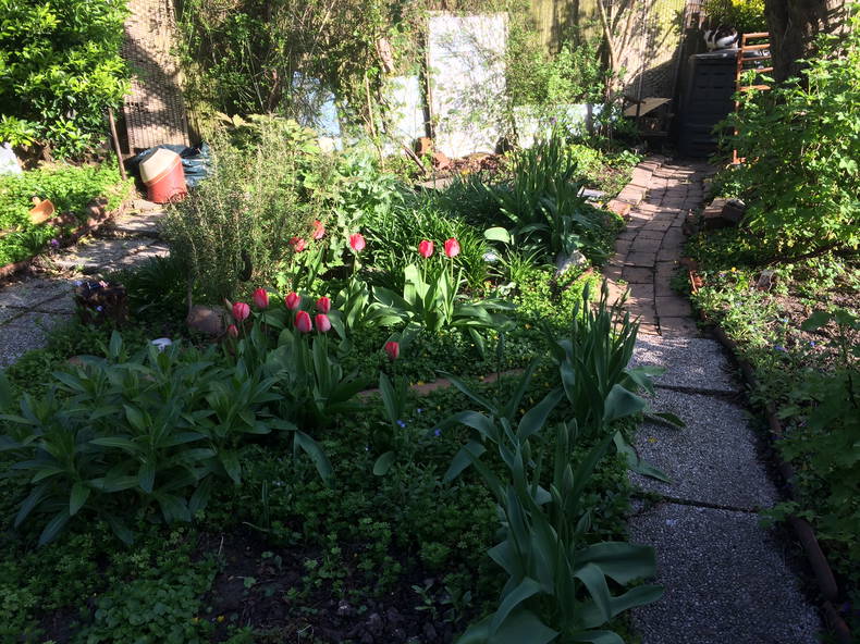 Homestay Villeneuve-d'Ascq 242688-2