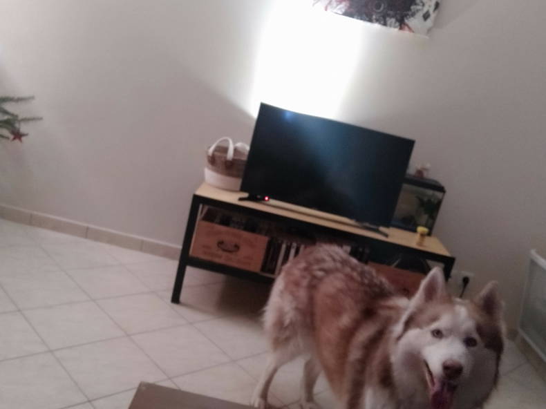 Colocation Villebon-sur-Yvette 246217-4