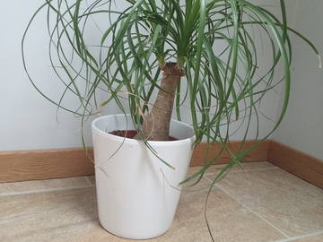 Chambre D'hôte Beaussais-Sur-Mer 478877-6