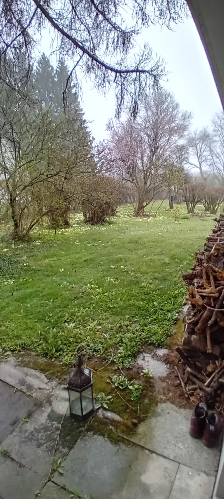 Chambre Chez L'habitant Epalinges 308796