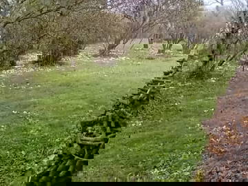 Chambre Chez L'habitant Epalinges 308796-9