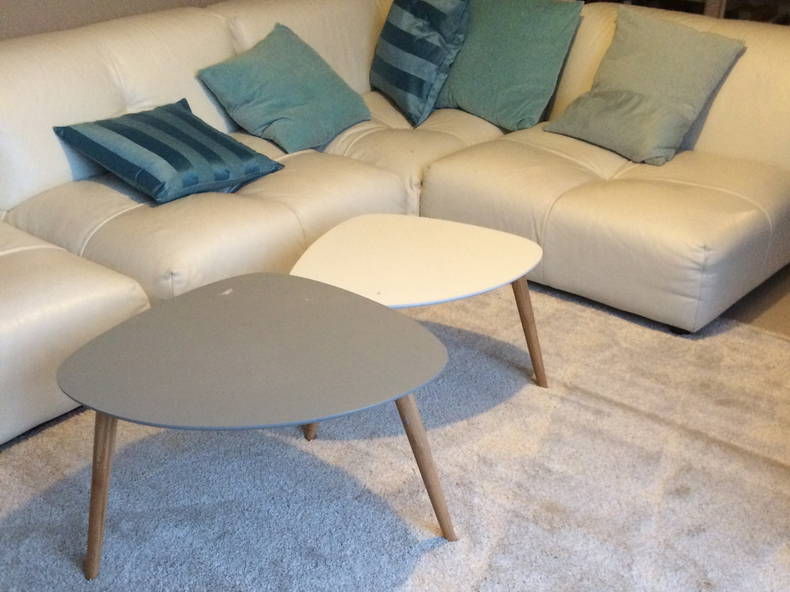 Homestay Nantes 109306-1