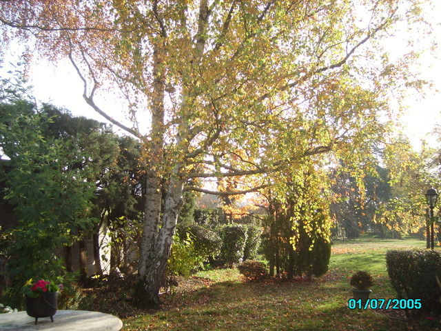 Chambre Chez L'habitant Angers 15444