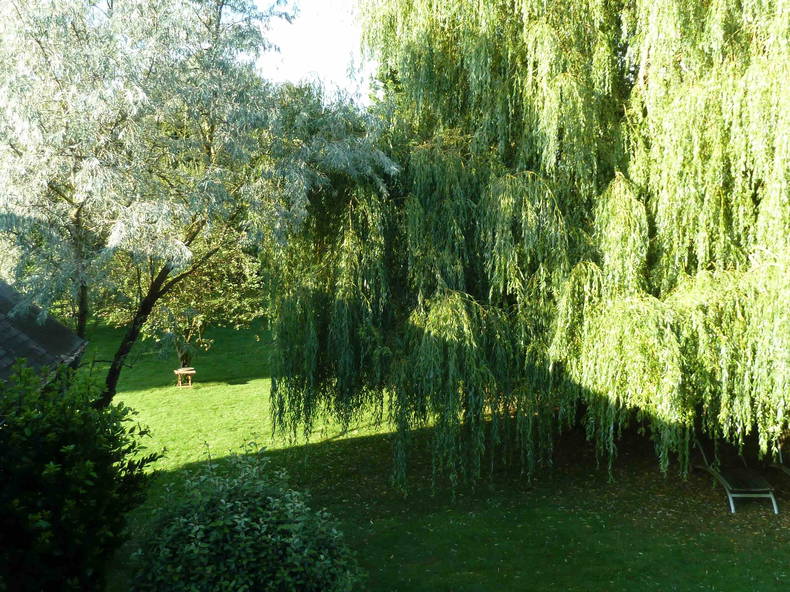 Colocation Rouillon 109080-5