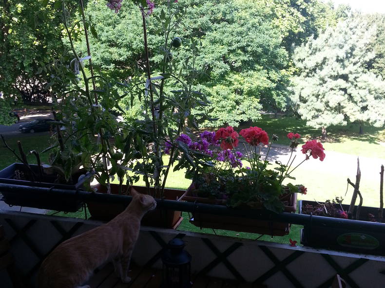 Quedarse En Casa Maisons-Alfort 78872-3