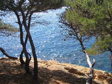 Chambre Chez L'habitant Saint-Cyr-Sur-Mer 205158-12