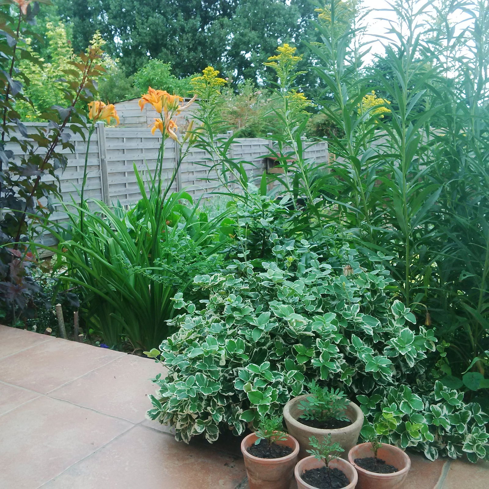 Habitaciones De Huéspedes Marly 41100