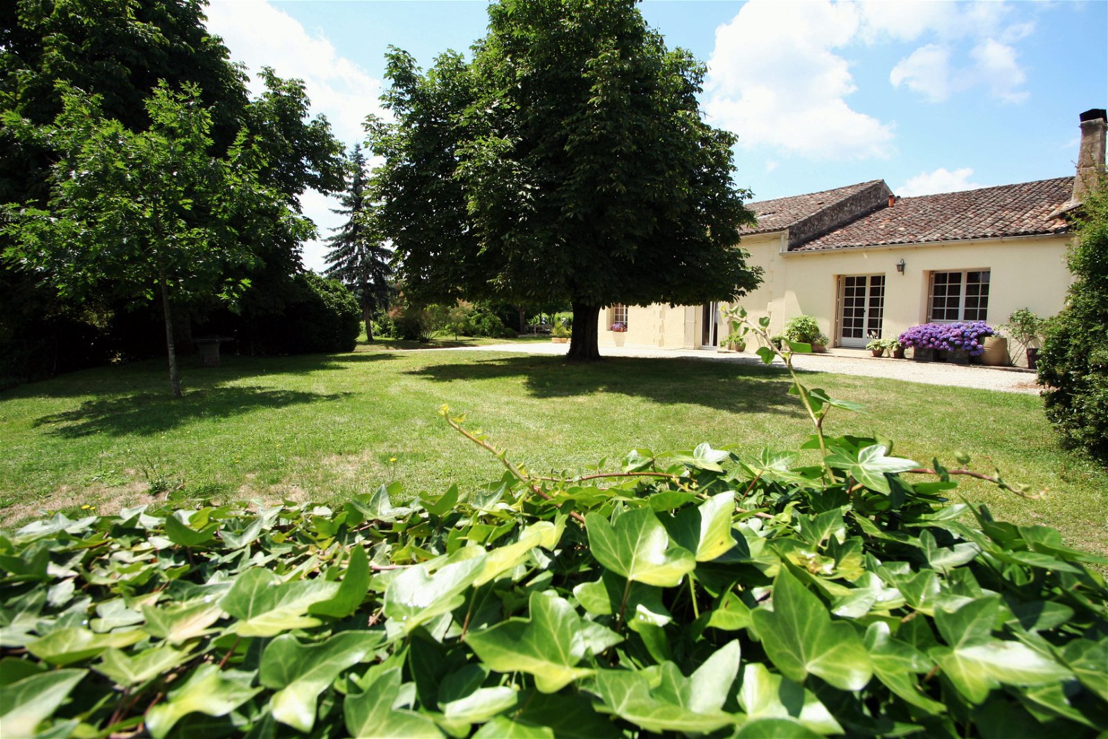 Gästrum Saint-Émilion 122736