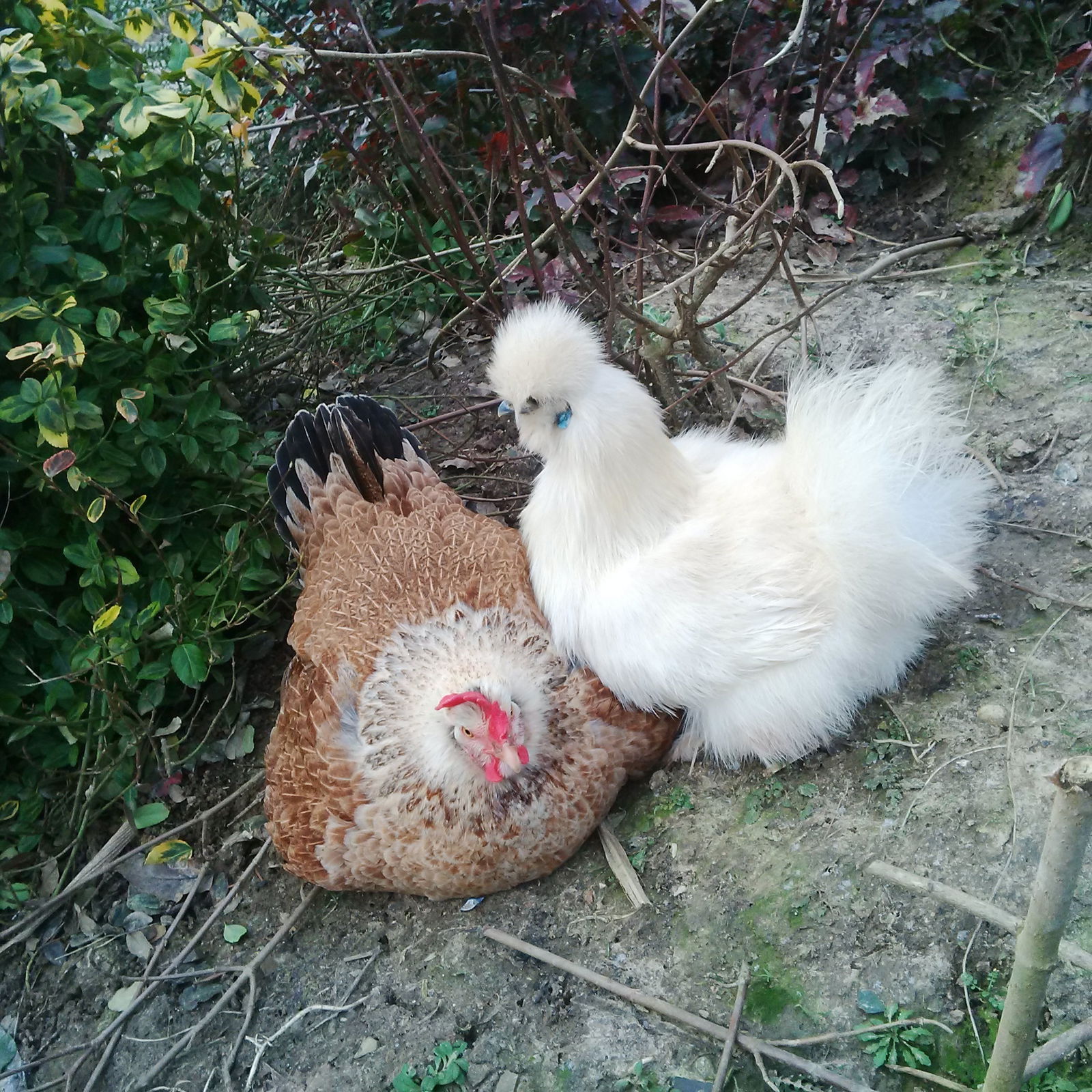 Gästezimmer Marly 41100