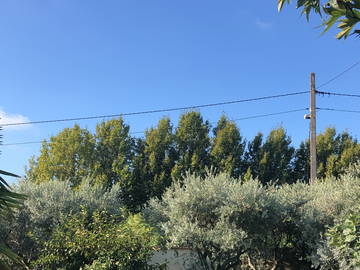 Chambre d'hôte à louer à Caumont-Sur-Durance - photo 16 : jardin-16