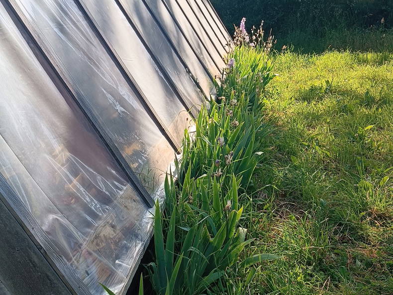 Habitaciones De Huéspedes Riec-sur-Bélon 451508-2