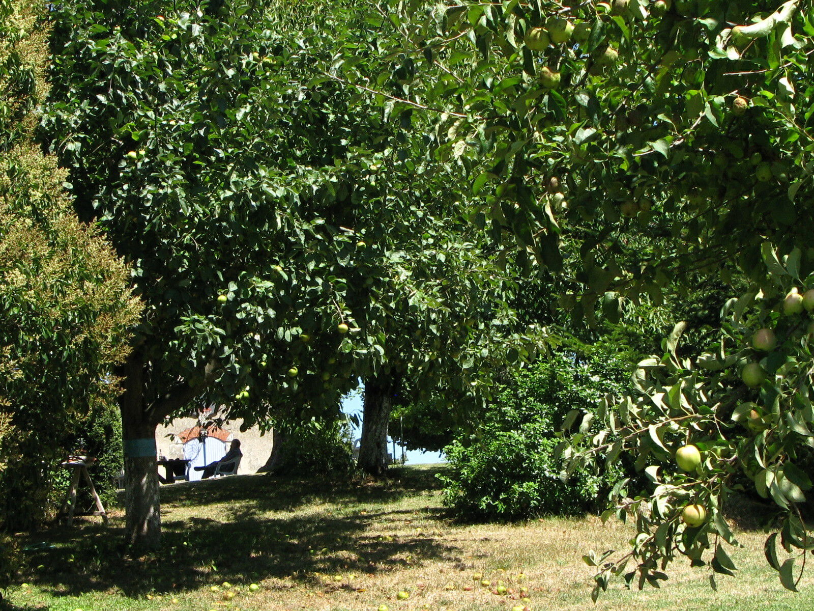 Gastenkamers Trentels 101137