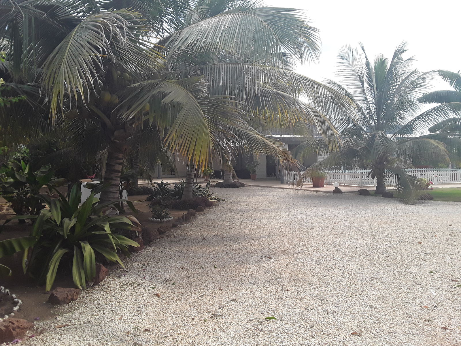 Chambre Chez L'habitant Nianing 221620