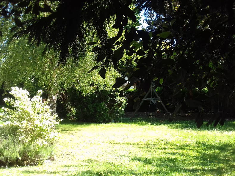 Entire Home Parigné-l'Évêque 172457-4