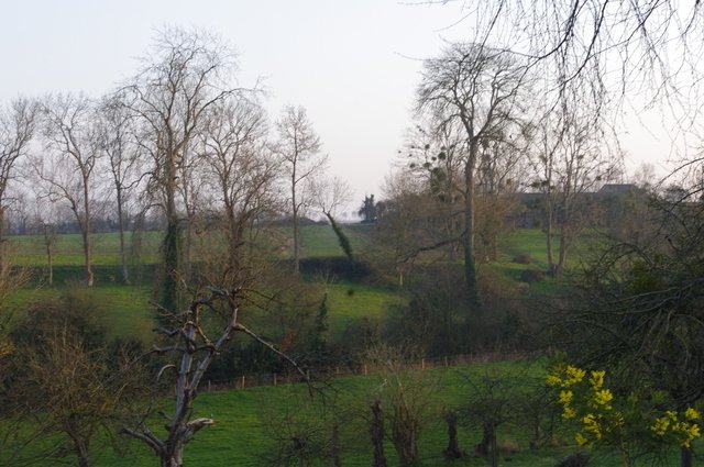 Chambres D'hôtes Lantheuil 43160