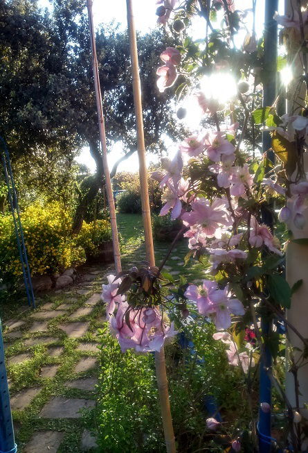 Chambre Chez L'habitant Junas 45435