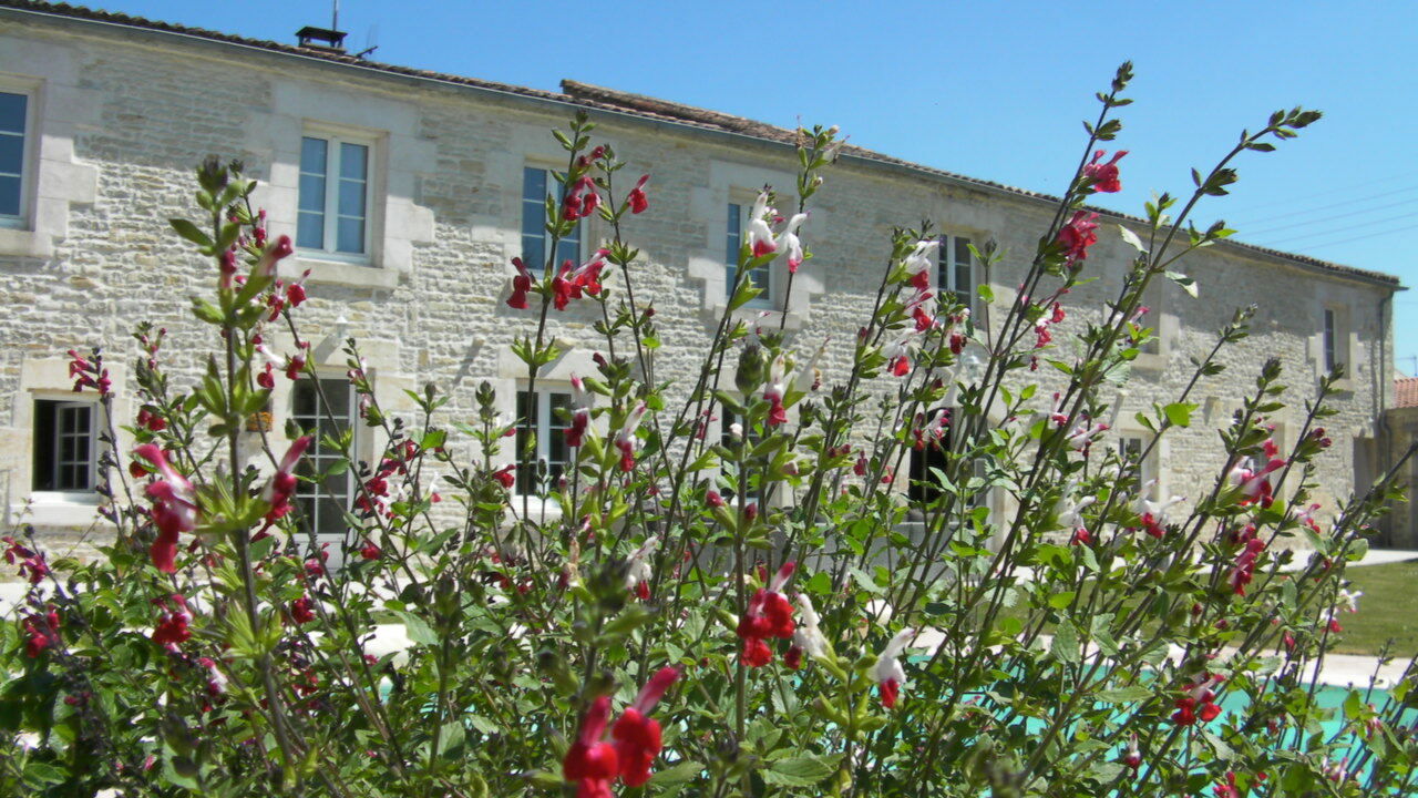Habitaciones De Huéspedes Saint-Sauveur-d'Aunis 83553