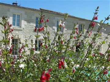 Chambre À Louer Saint-Sauveur-D'aunis 83553