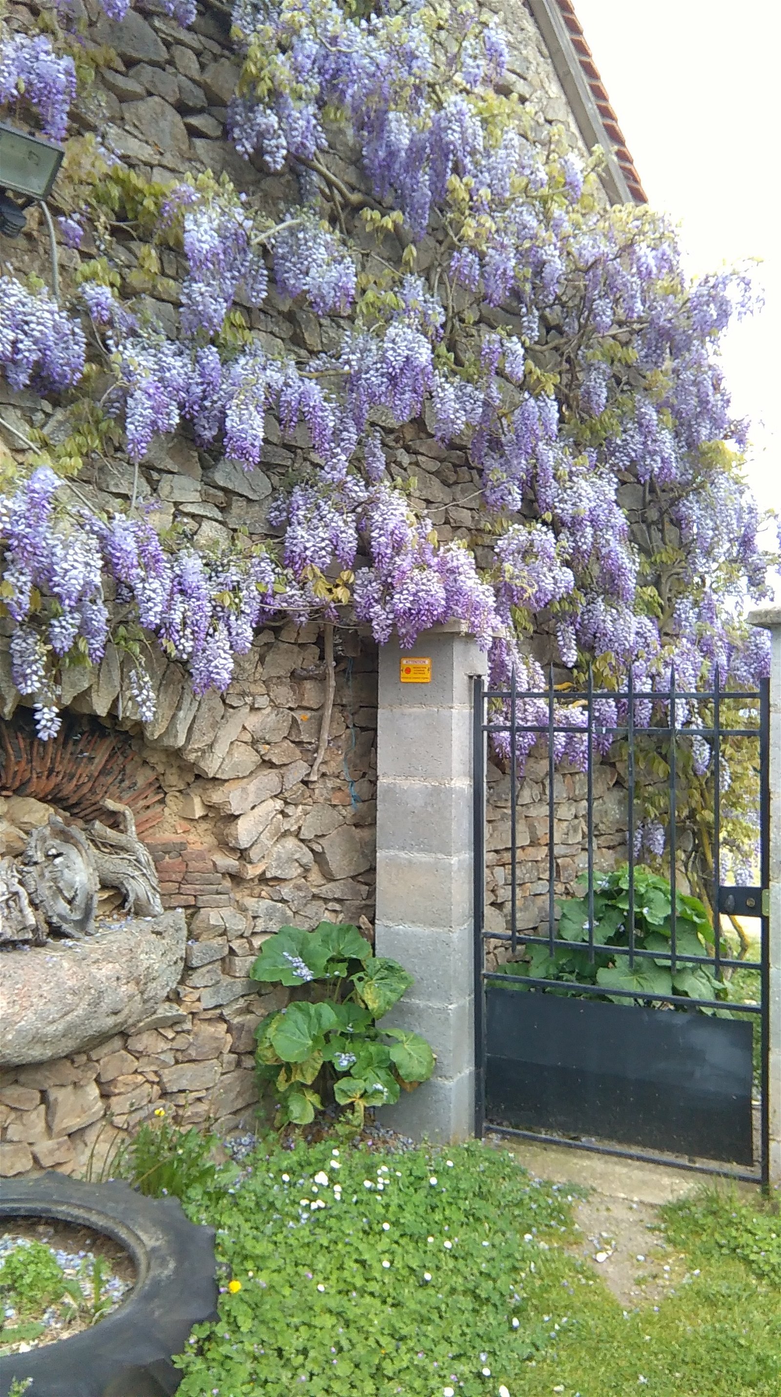 Gastenkamers Chaillac 111525