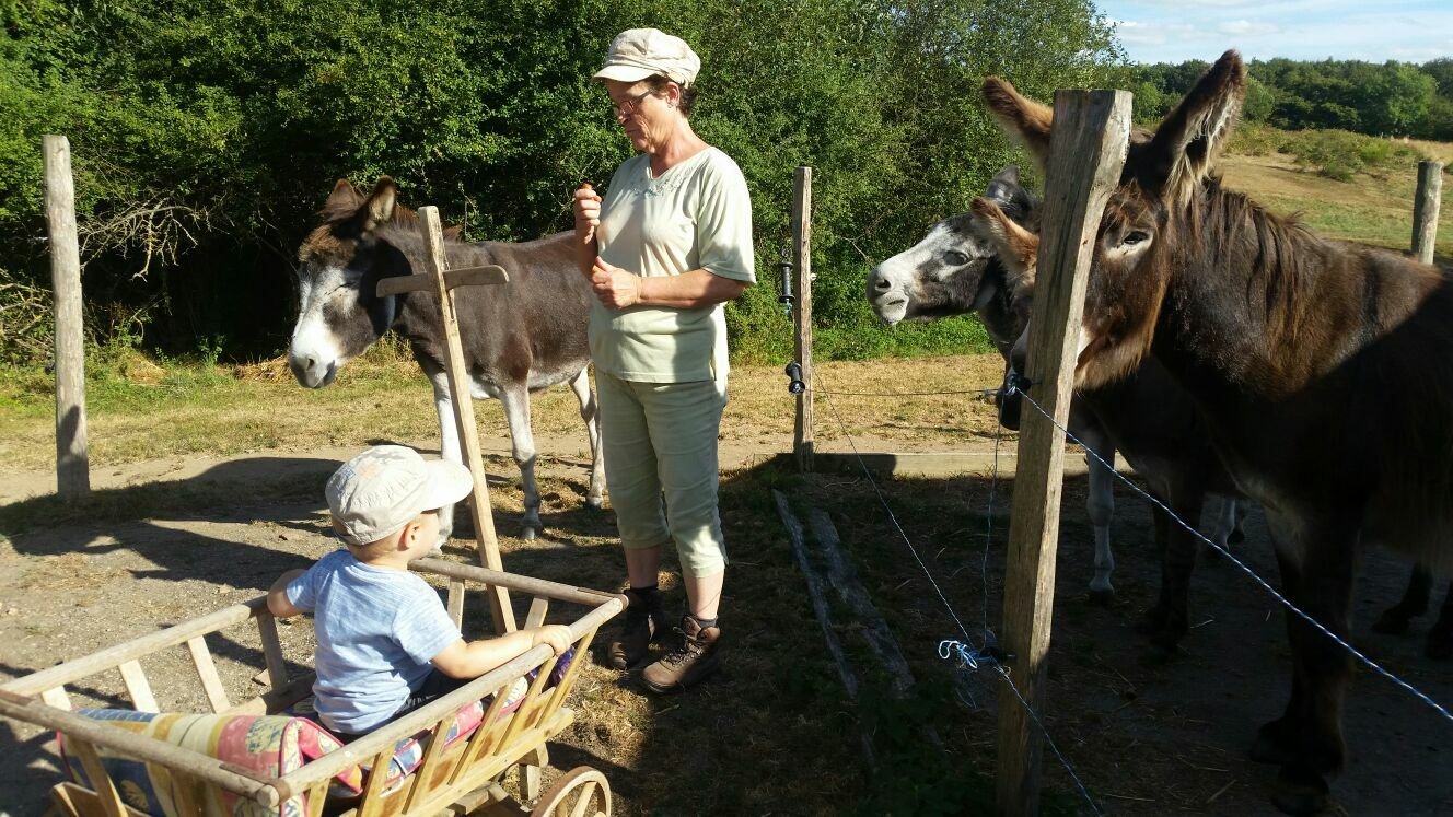 Gastenkamers Chaillac 111525