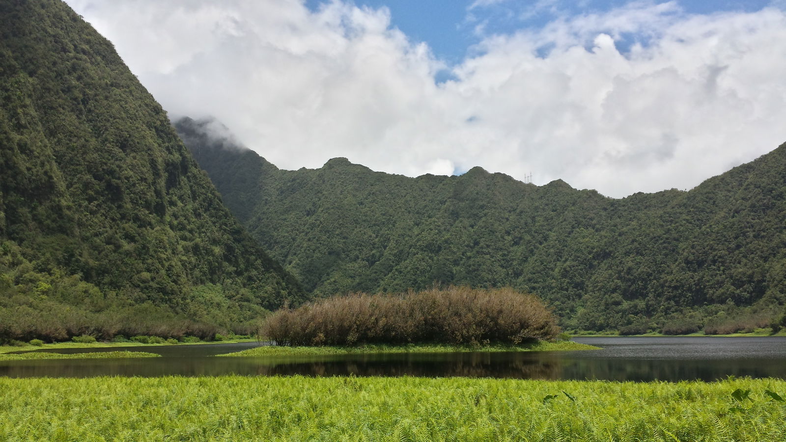 Chambres D'hôtes Saint Benoit 118110