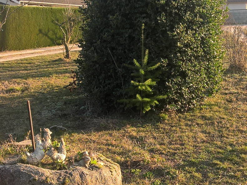 Logement Entier Saint-Maurice-en-Gourgois 220285-5