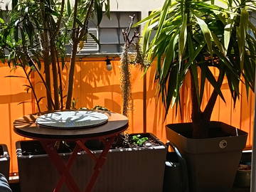 Chambre d'hôte à louer à Nice - autre pièce-5