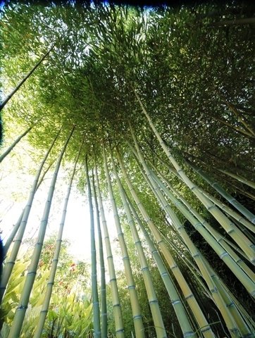 Quartos De Hóspedes Aveiro 40721