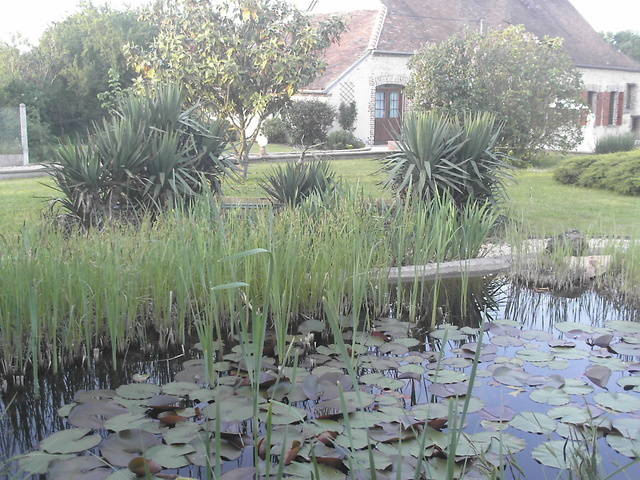 Chambres D'hôtes Saint-Hilaire-les-Andrésis 3460-3