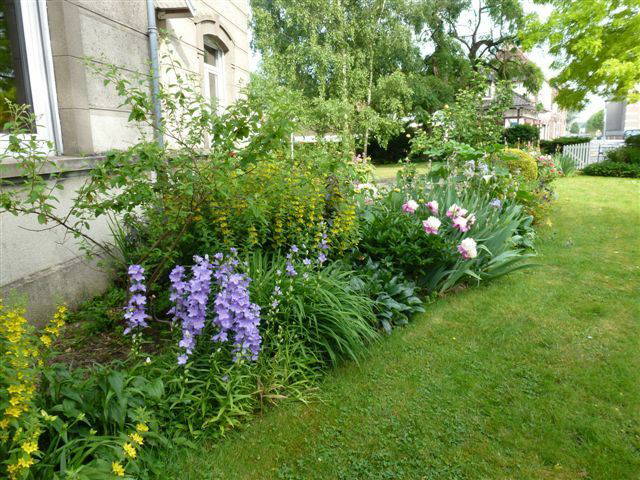 Chambre Chez L'habitant Saint-Amand-les-Eaux 52205-1