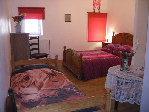 Homestay Saxon-Sion 927