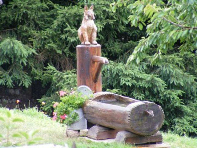 Chambres D'hôtes Thannenkirch 50077-4