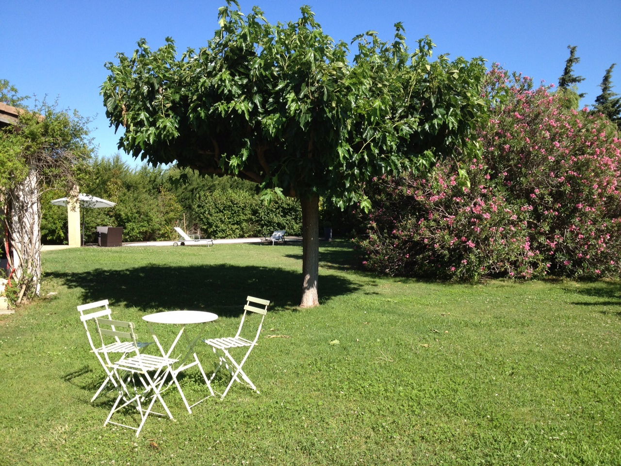 Chambres D'hôtes Maussane-les-Alpilles 71428