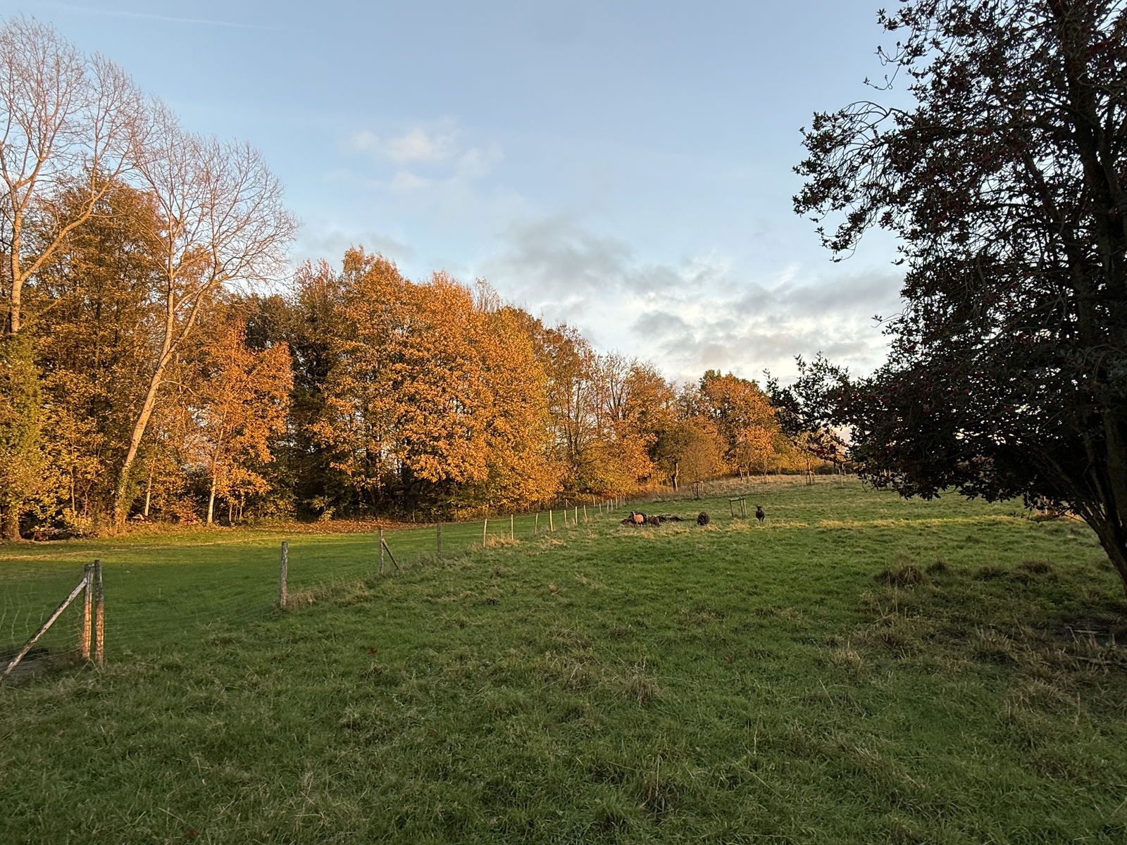 Pokoje Gościnne Walhain 92169