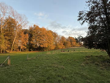 Chambre D'hôte Walhain 92169-9