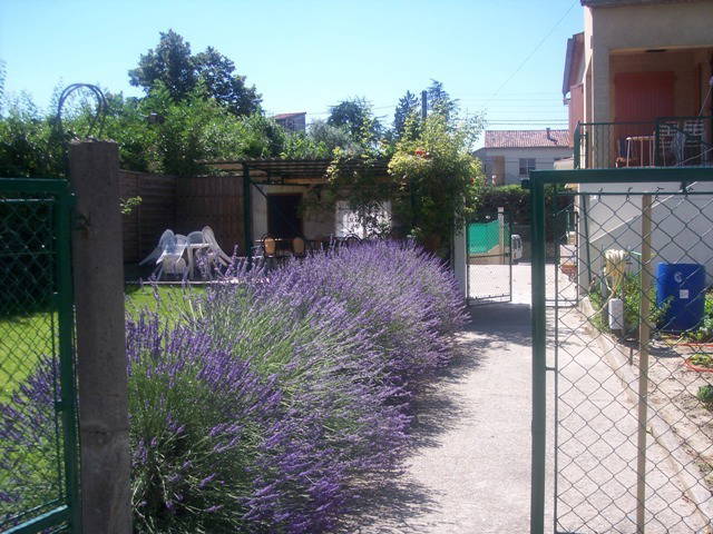 Homestay Lézan 40928