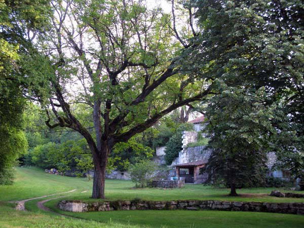 Chambres D'hôtes Sers 104231-2