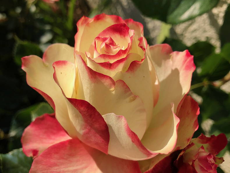 Gästezimmer Neuville-de-Poitou 64070-2