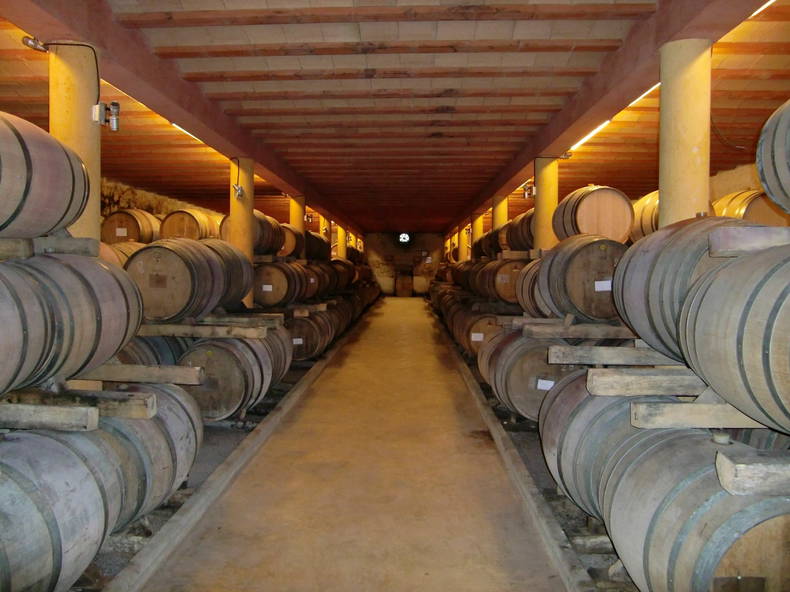 Gästezimmer Campagnan 89234-3