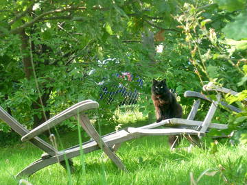 Chambre D'hôte Rixensart 91202-5