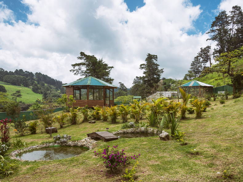 Bed And Breakfast Alajuela 139305-3