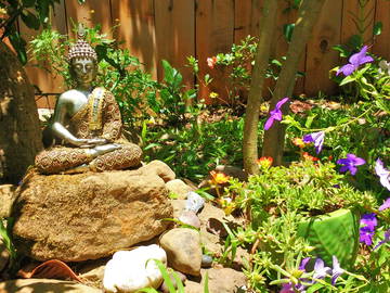 Bed And Breakfast Alajuela 139305-12