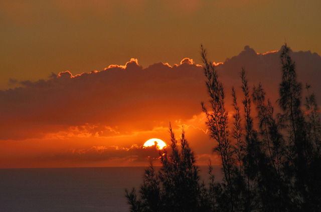 Gastenkamers La Réunion 37818
